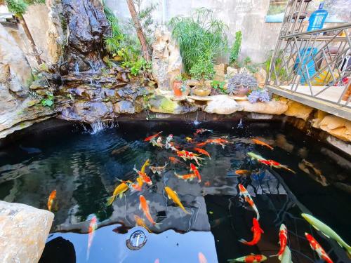 Koi Home 286 Mộc Châu