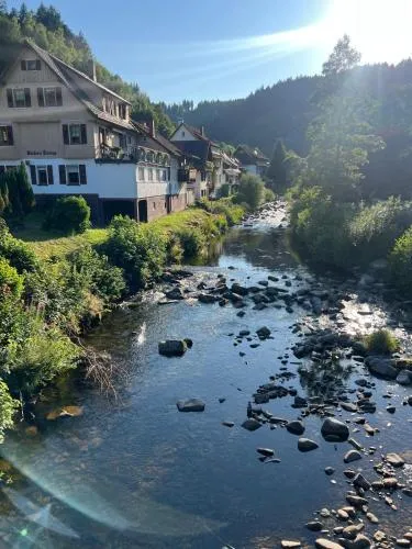 Murgtal Traum Apartment Schwarzwald in Baiersbronn, Deutschland