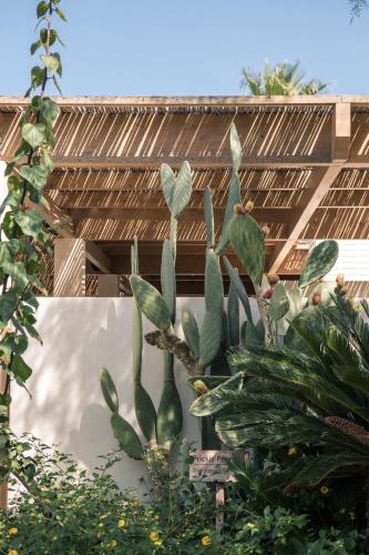 Phāea Cretan Malia, a Member of Design Hotels