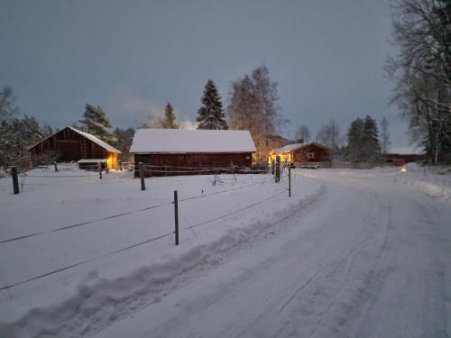 Surrounding environment, Koivistonpiha farmstay in Valkeakoski