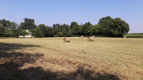 domaine du Lacares in Saint-Etienne-de-Lisse