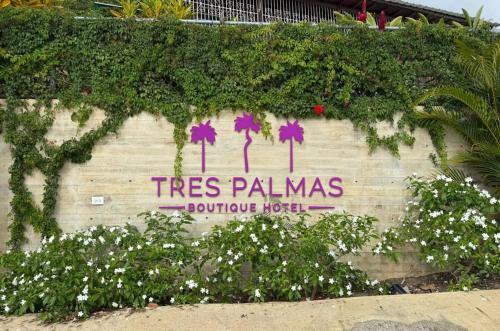 المرافق, Tres Palmas Boutique Hotel in رينكون