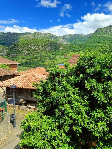 Omgeving, El balcón de Proaza (El balcon de Proaza) in Proaza