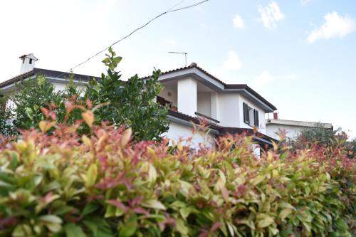  Sardegna23 - Appartamento Vacanze - in Orosei