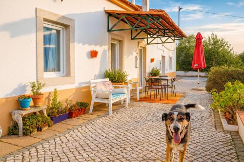 Casa da Ti Bia gîte à louer Praia da Comenda