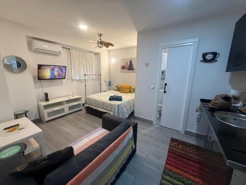 LOFTS ARENAL, Madrid