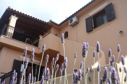 Panmar - Photo 2