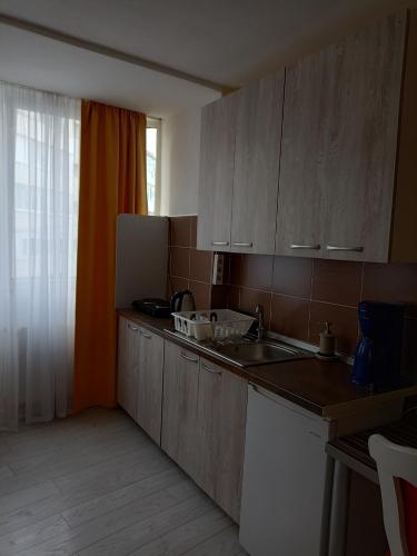 Two Bedroom Apartment Farmec - image 14