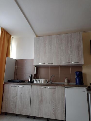 Two Bedroom Apartment Farmec - image 12