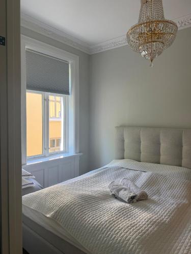 Super central, big and bright apartment in the heart of Oslo, Осло (фото 8)