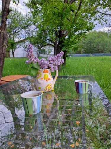 Minicamping MARIA in Valea Mare Pravat