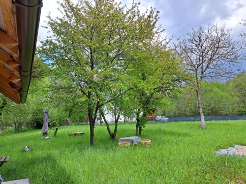 Minicamping MARIA in Valea Mare Pravat