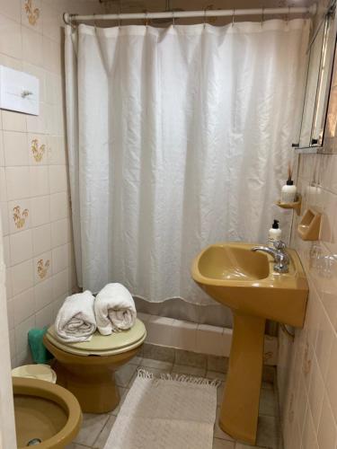 Zuhanyzó, Monoambiente Ramos Mejía (Monoambiente Ramos Mejia) in Ramos Mejía