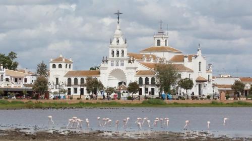 Hotel Doñana Blues - image 14
