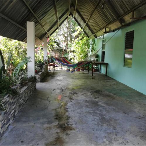 Tropical Gavilla in Palo Grande