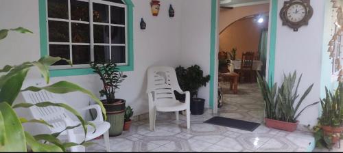 Tropical Gavilla in Palo Grande