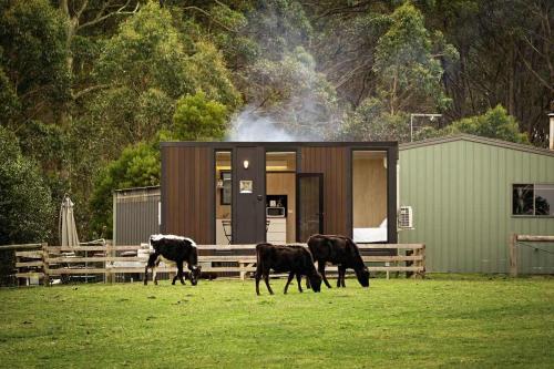 Accommodation in Latrobe