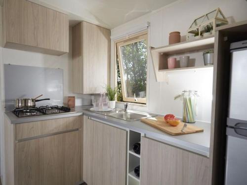 Mobil home 3 chambres avec terrasse - 7 personnes - API-1-52-519 in La Chaize-Giraud