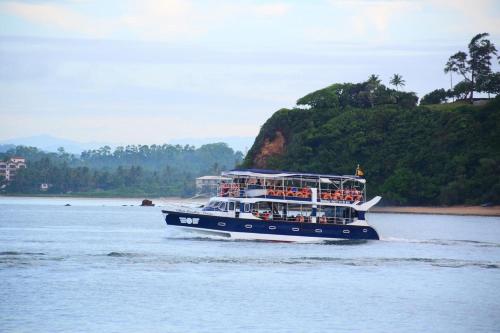 Whale Paradise Cruise Tours - image 3