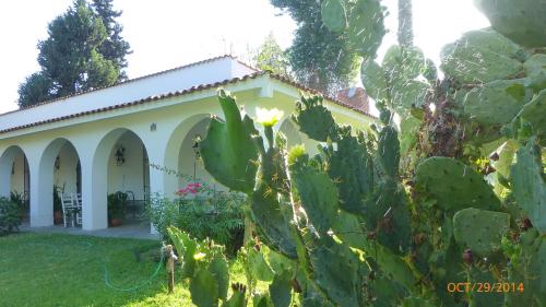 Dārzs, Loft en Casona Colonial in San Fernando Del Valle De Catamarca