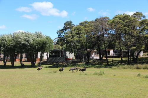 Halls Gap Lakeside Tourist Park