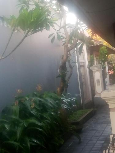 Made House Homestay and Dormitory Made House Homestay and Dormitory