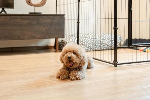 Asok house Sukhumvit27 Free BF, Бангкок (фото 7)