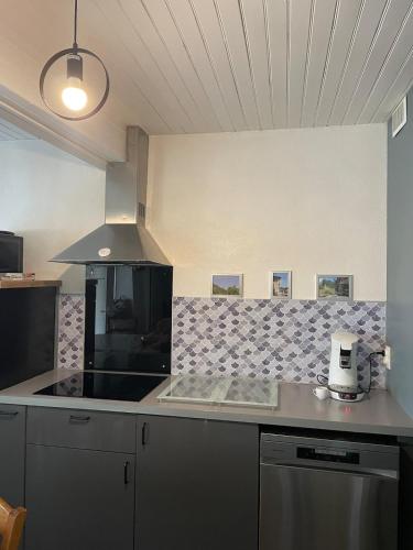 Maison 5 chambres proche Lyon CNPE Bugey in Saint Vulbas