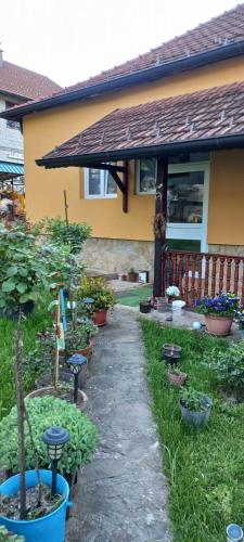 . Smeštaj Nikolić