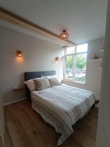 Mediterranean apartment with home theater in 波德格拉溫