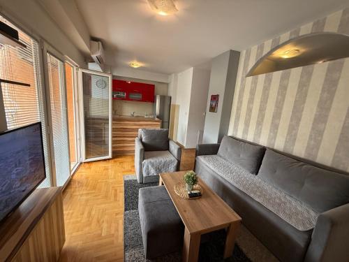 Apartman Aleksa - Apartment - Skopje