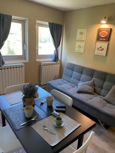 Ski Apartment
