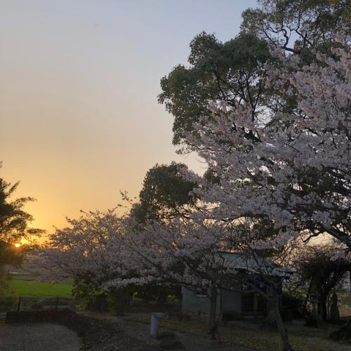 Ogi - House - Vacation STAY 33925v, Saga (photo 8)