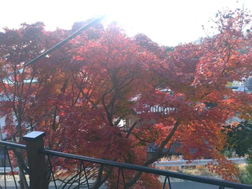 Touchian / Vacation STAY 1026, Okayama (foto 10)