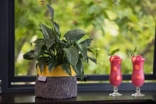 Forest Loft Apartment in Thesens Sziget