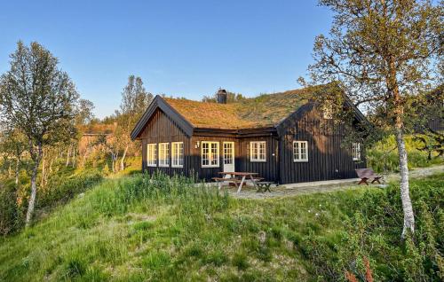 . Gorgeous Home In Rauland With Sauna