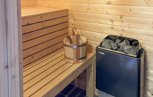Aktivitātes, Gorgeous Home In Rauland With Sauna in Torvetjorn