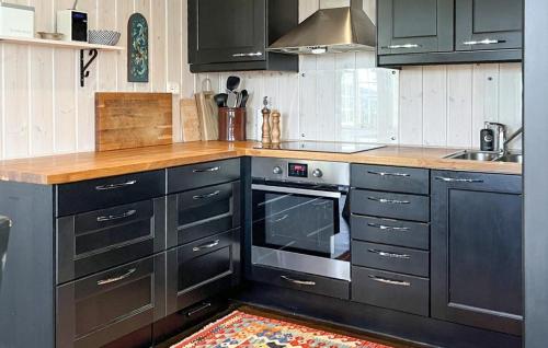 virtuve, Gorgeous Home In Rauland With Sauna in Torvetjorn