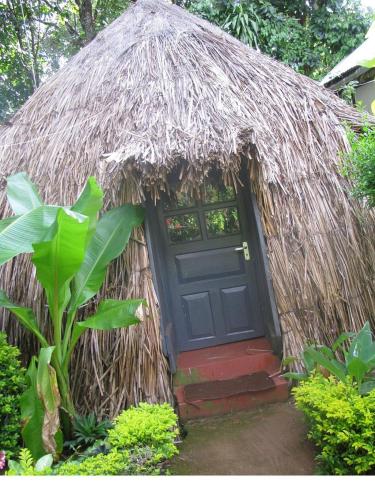 Banana Jungle Lodge in มารังกู