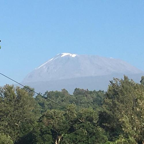 Banana Jungle Lodge in มารังกู