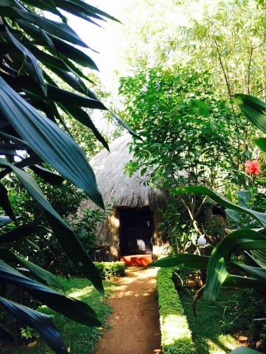 Banana Jungle Lodge in มารังกู