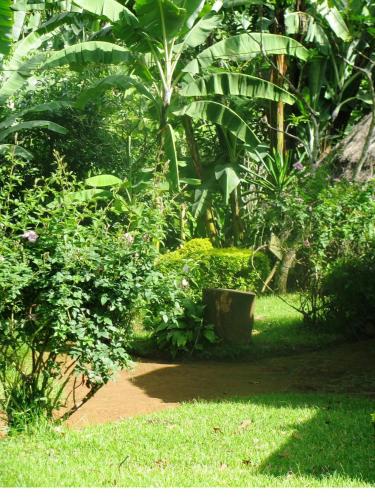 สวน, Banana Jungle Lodge in มารังกู