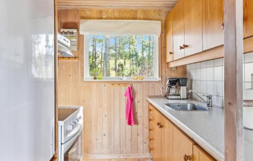 Kitchen, Nice Home In Ebeltoft With Wifi - D13116 in Ebeltoft