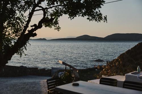Sea You Soon & Spa 2 in Limenaria (Agkistri)