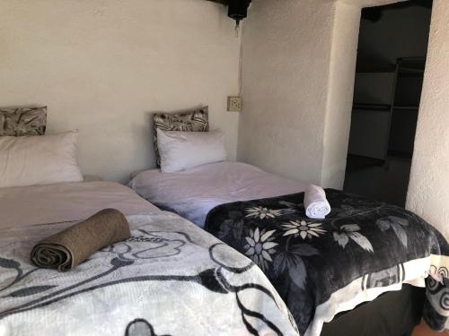 Doringdraad Lodge Nala and Zazu in 伊萬德