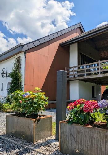 Gites-Clairiere-Ardenne in Louftemont