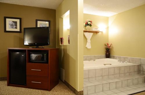 Comfort Inn Idaho Falls - image 10
