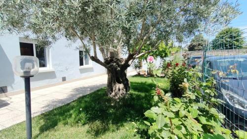  Casa Lety in Rimini