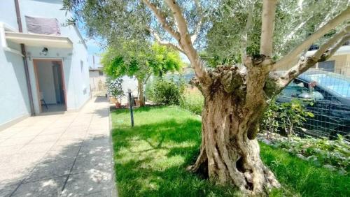 Casa Lety