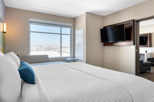 Cambria Hotel Minneapolis Airport - Bloomington - image 18